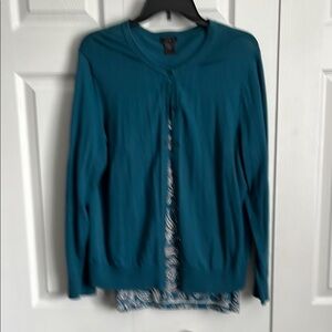 Teal Ann Taylor Sweater Set (2 pieces)